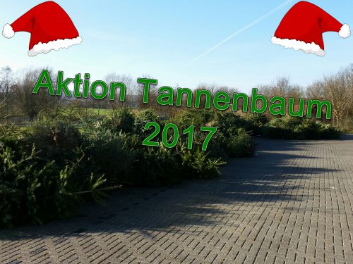 aktion-tannenbaum-2017